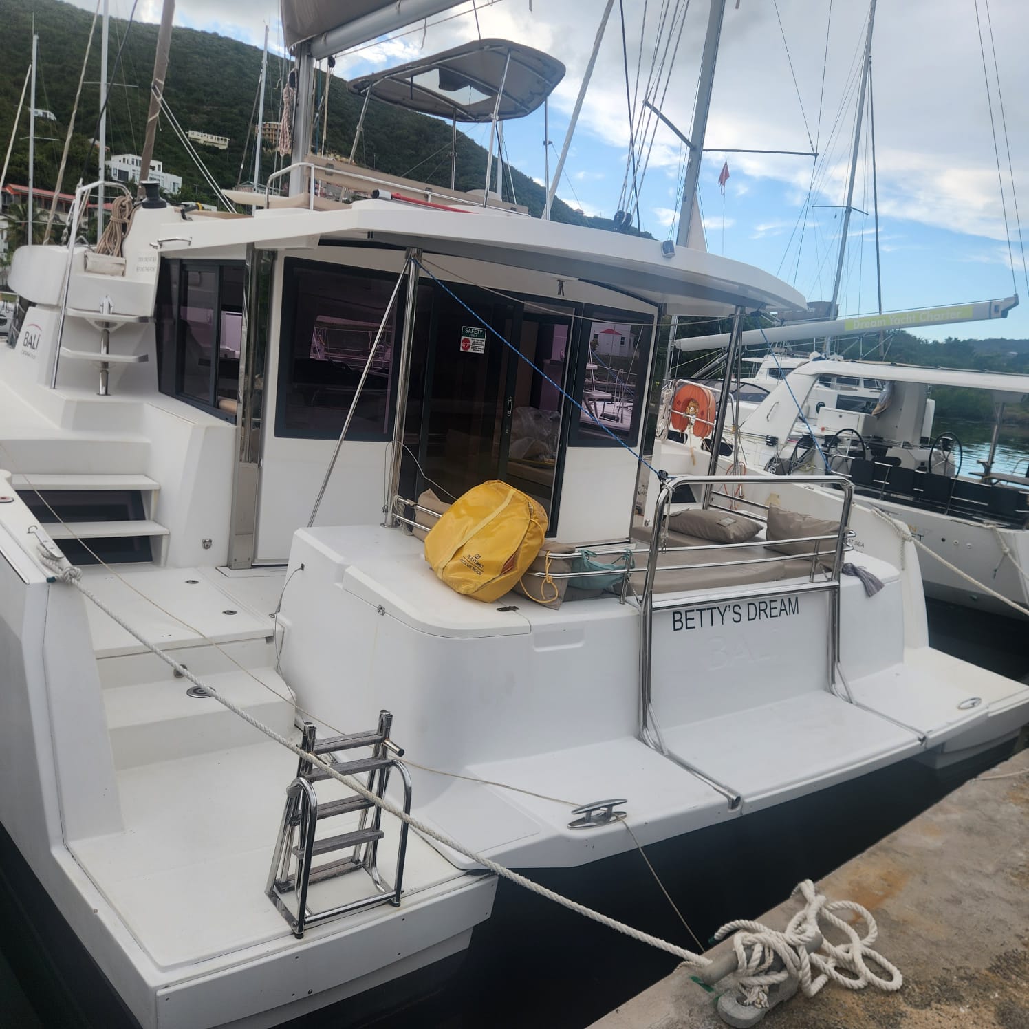 2019 Bali 4.3 — Betty’s Dream for sale in British Virgin Islands, Hodge's Creek Marina