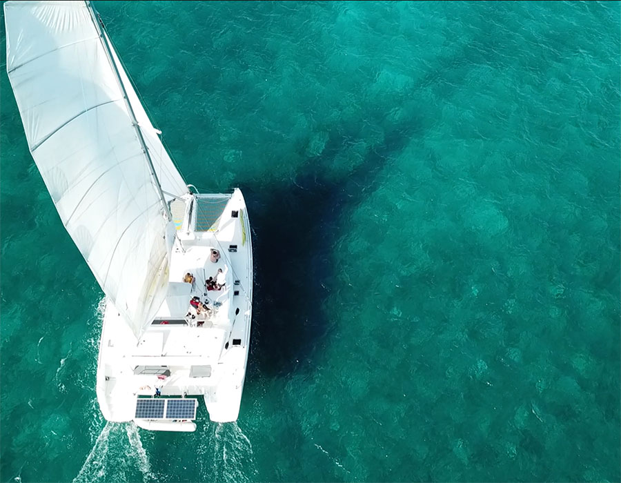 New Yachts & Boats for Sale in the Caribbean